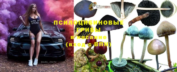 экстази Горнозаводск