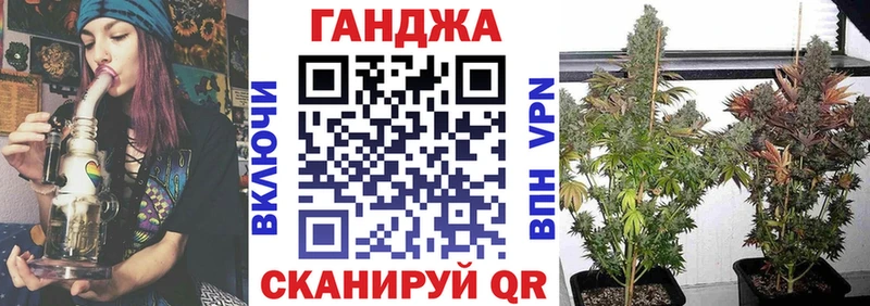 где купить наркоту  Сочи  Конопля Bruce Banner 